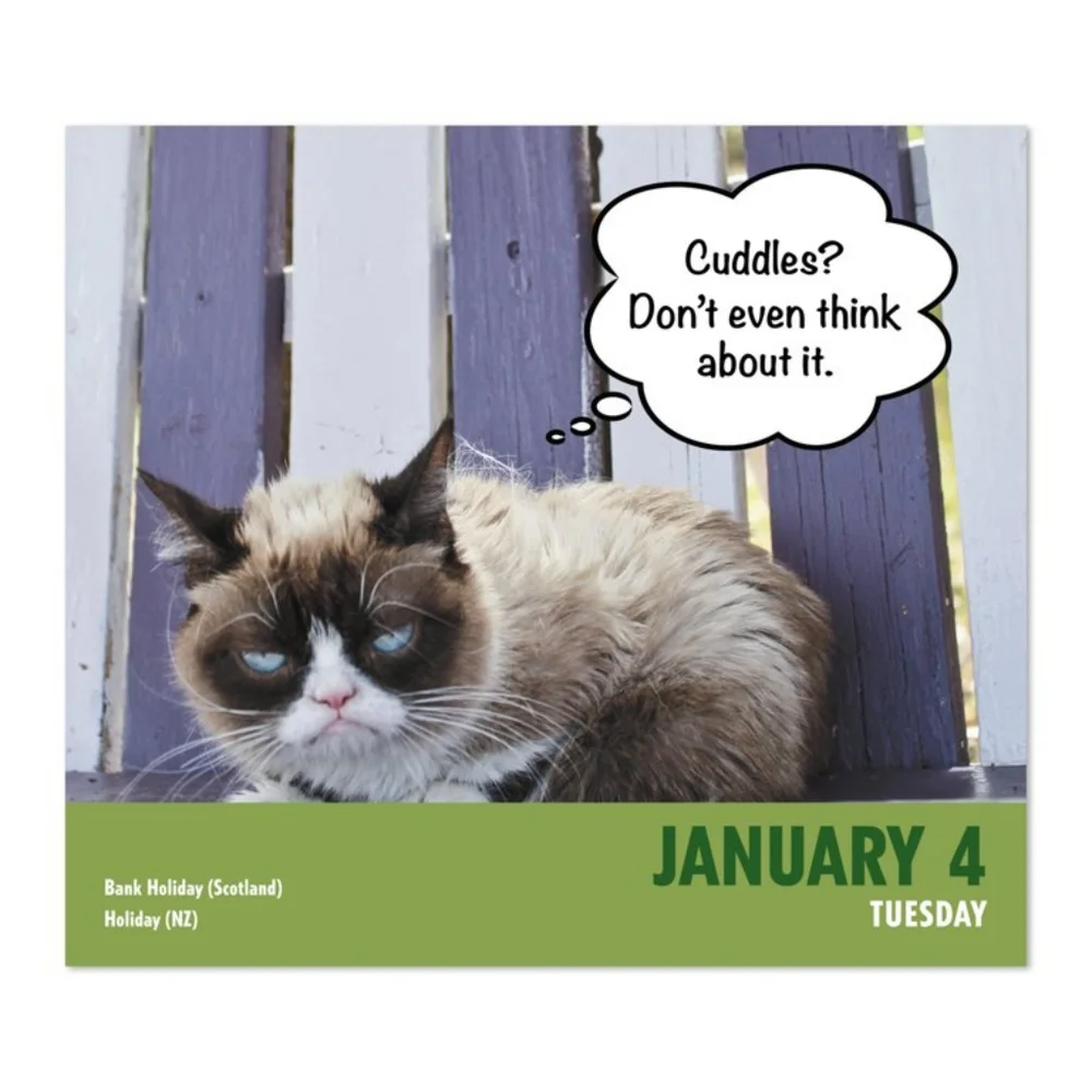 Grumpy cat 2022 calendar